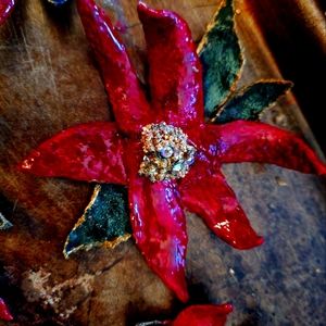 Scarlet Red Poinsettia